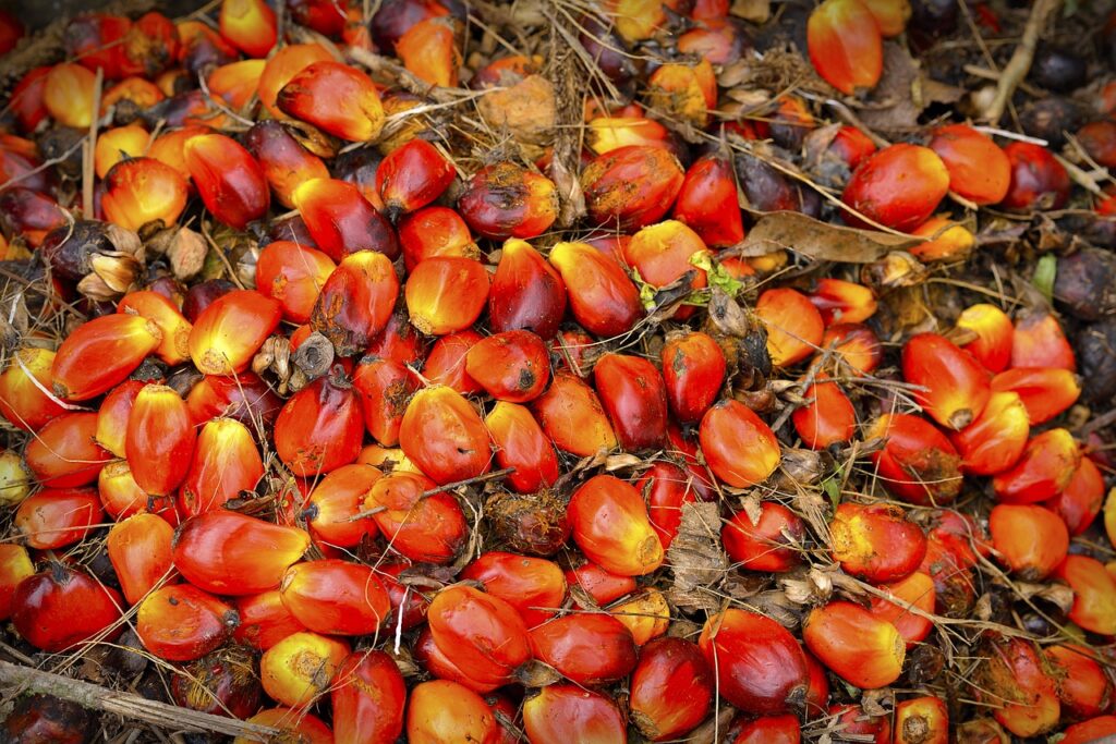 Das RSPO-Zertifikat bestätigt, dass das Palmöl aus zertifizierten Quellen stammt und unter Berücksichtigung von Umwelt- und Sozialaspekten produziert wurde.